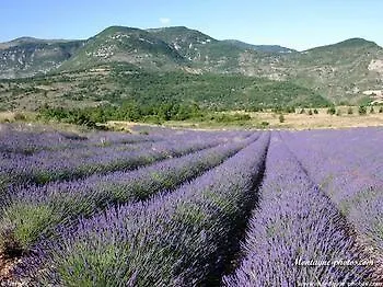 D'albion 2* Sault